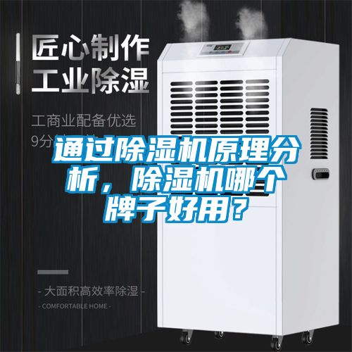 通過除濕機原理分析，除濕機哪個牌子好用？