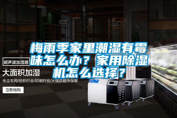 梅雨季家里潮濕有霉味怎么辦？家用除濕機(jī)怎么選擇？