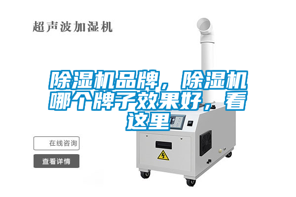 除濕機(jī)品牌，除濕機(jī)哪個(gè)牌子效果好，看這里