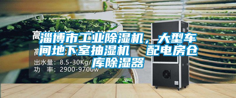 淄博市工業(yè)除濕機(jī)，大型車間地下室抽濕機(jī)  配電房倉庫除濕器