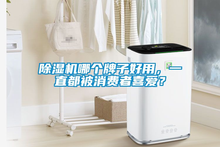除濕機(jī)哪個(gè)牌子好用，一直都被消費(fèi)者喜愛(ài)？