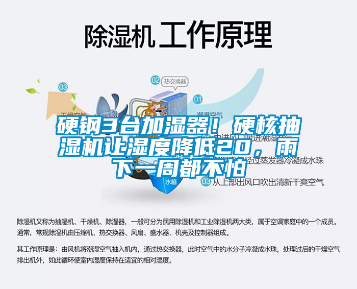 硬鋼3臺(tái)加濕器！硬核抽濕機(jī)讓濕度降低20，雨下一周都不怕