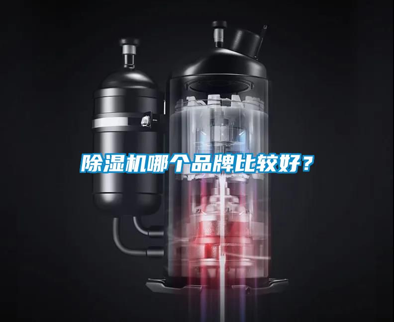 除濕機(jī)哪個(gè)品牌比較好？