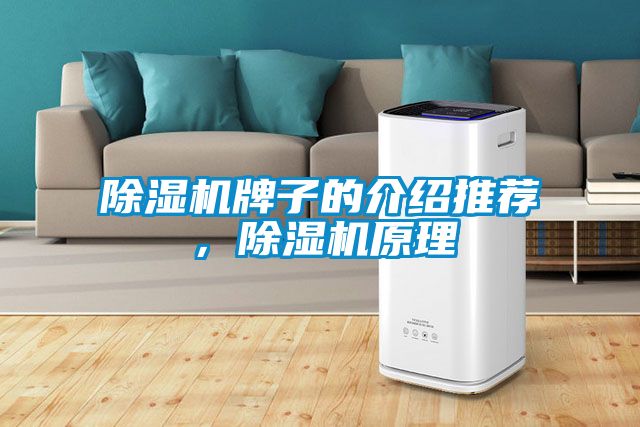 除濕機牌子的介紹推薦，除濕機原理