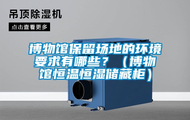 博物館保留場(chǎng)地的環(huán)境要求有哪些？（博物館恒溫恒濕儲(chǔ)藏柜）