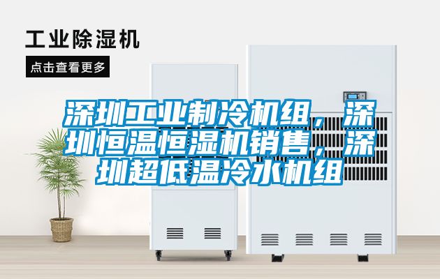 深圳工業(yè)制冷機(jī)組，深圳恒溫恒濕機(jī)銷售，深圳超低溫冷水機(jī)組