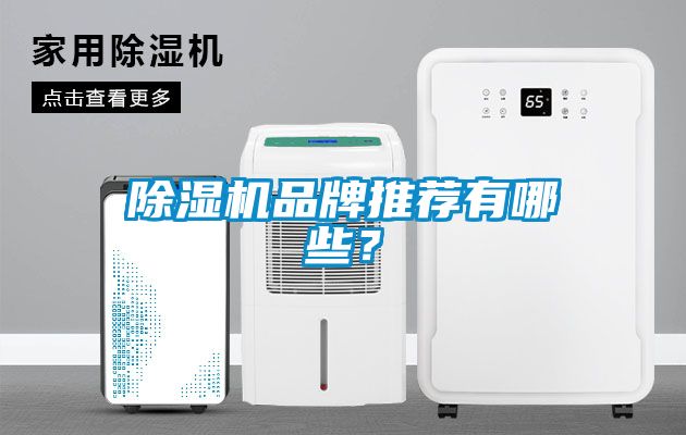 除濕機(jī)品牌推薦有哪些？