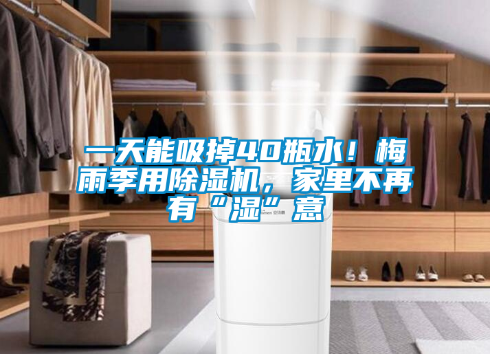 一天能吸掉40瓶水！梅雨季用除濕機(jī)，家里不再有“濕”意
