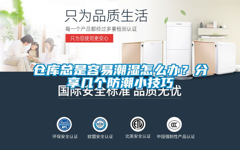倉庫總是容易潮濕怎么辦？分享幾個防潮小技巧