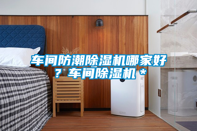 車(chē)間防潮除濕機(jī)哪家好？車(chē)間除濕機(jī)＊