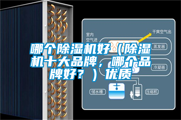 哪個(gè)除濕機(jī)好（除濕機(jī)十大品牌，哪個(gè)品牌好？）優(yōu)質(zhì)