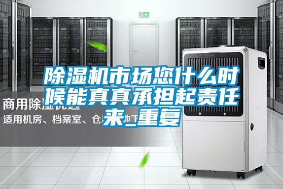 除濕機市場您什么時候能真真承擔起責任來_重復(fù)