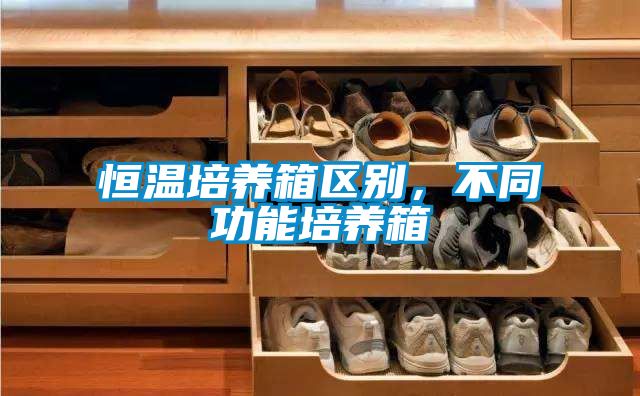 恒溫培養(yǎng)箱區(qū)別，不同功能培養(yǎng)箱