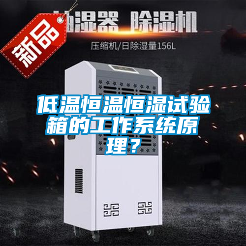 低溫恒溫恒濕試驗箱的工作系統(tǒng)原理？