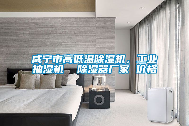 咸寧市高低溫除濕機(jī)，工業(yè)抽濕機(jī)  除濕器廠家 價(jià)格