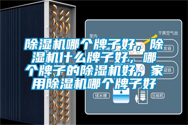 除濕機(jī)哪個(gè)牌子好，除濕機(jī)什么牌子好，哪個(gè)牌子的除濕機(jī)好，家用除濕機(jī)哪個(gè)牌子好