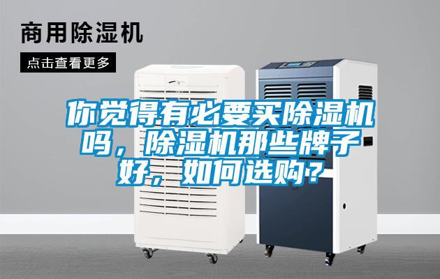 你覺得有必要買除濕機嗎，除濕機那些牌子好，如何選購？