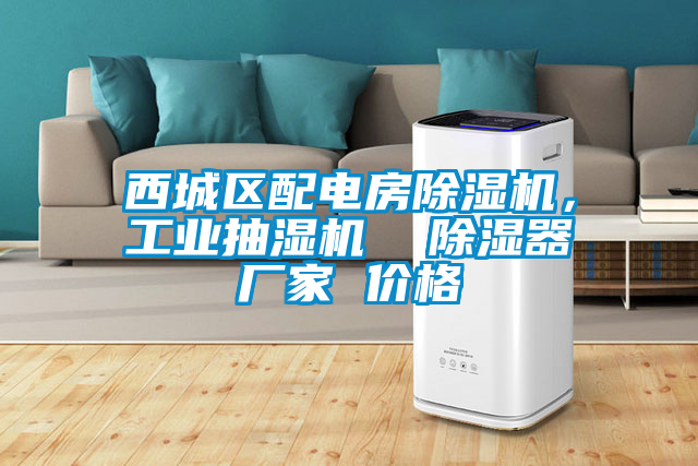 西城區(qū)配電房除濕機(jī)，工業(yè)抽濕機(jī)  除濕器廠家 價(jià)格