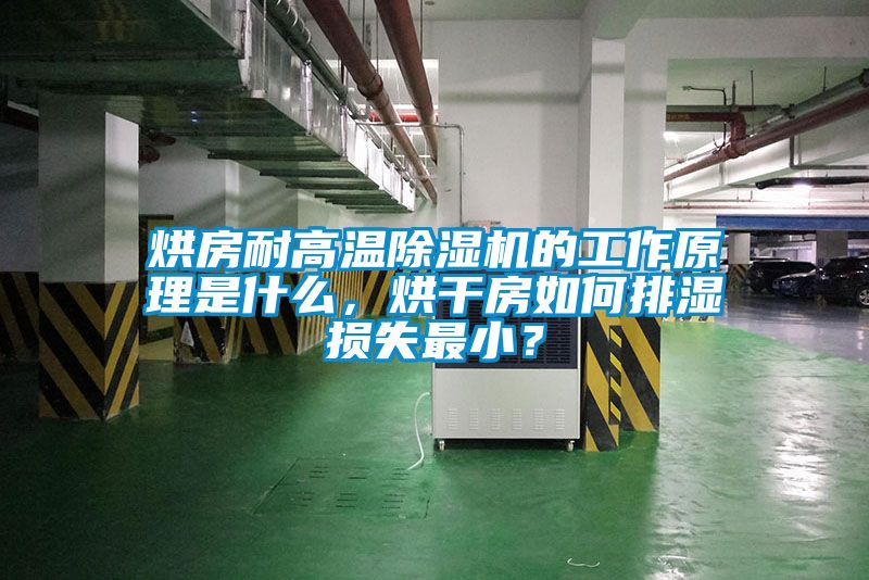 烘房耐高溫除濕機的工作原理是什么，烘干房如何排濕損失最?。?/></p>
						    <p style=