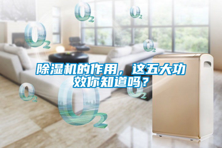 除濕機(jī)的作用，這五大功效你知道嗎？
