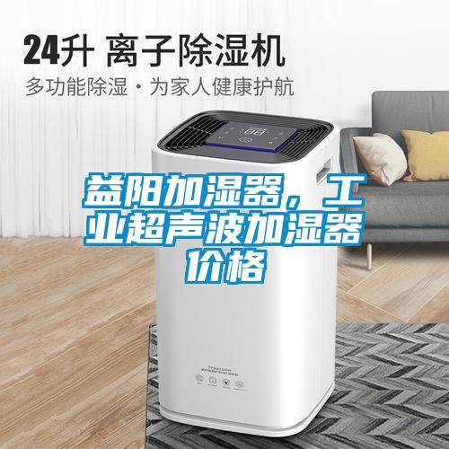 益陽加濕器，工業(yè)超聲波加濕器價(jià)格