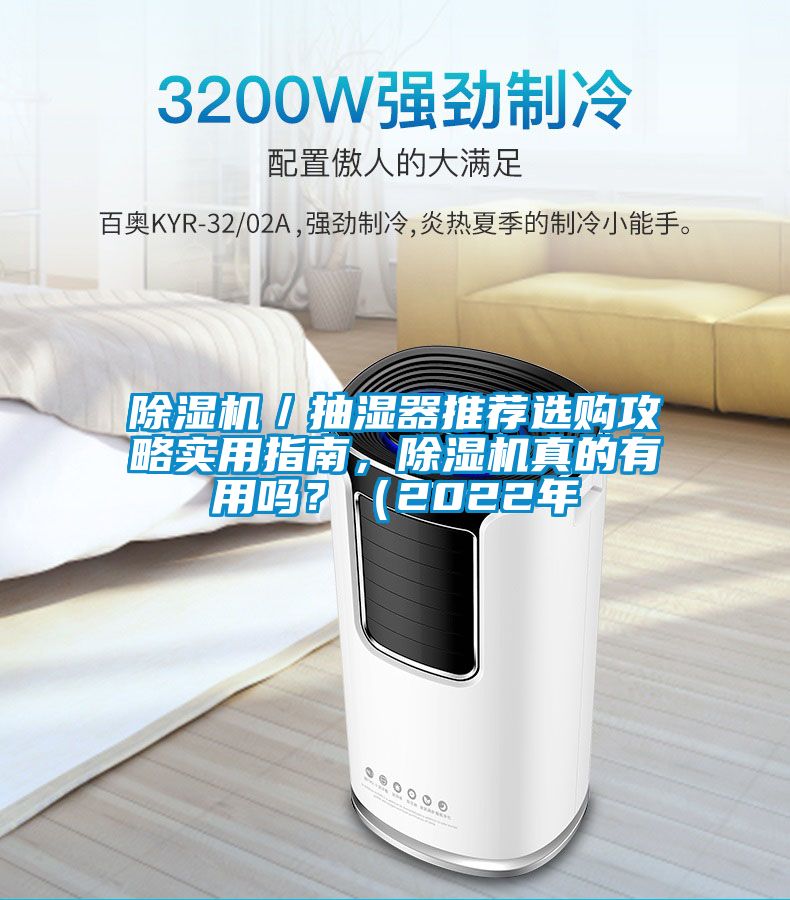 除濕機／抽濕器推薦選購攻略實用指南，除濕機真的有用嗎？（2022年