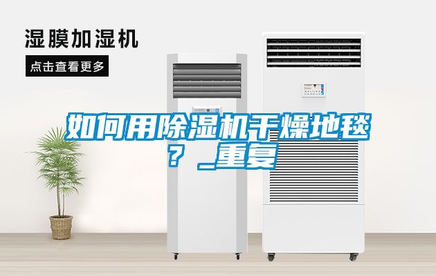 如何用除濕機干燥地毯？_重復(fù)