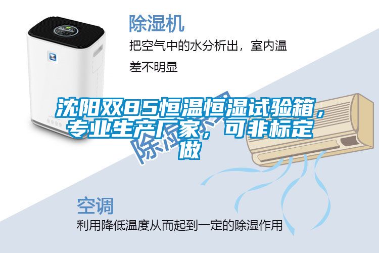 沈陽雙85恒溫恒濕試驗箱，專業(yè)生產(chǎn)廠家，可非標定做