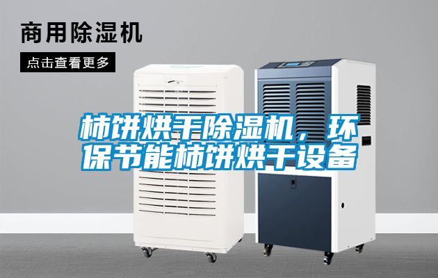 柿餅烘干除濕機，環(huán)保節(jié)能柿餅烘干設備