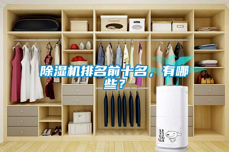 除濕機(jī)排名前十名，有哪些？