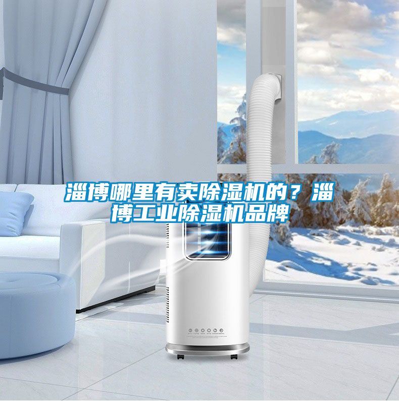 淄博哪里有賣除濕機的？淄博工業(yè)除濕機品牌