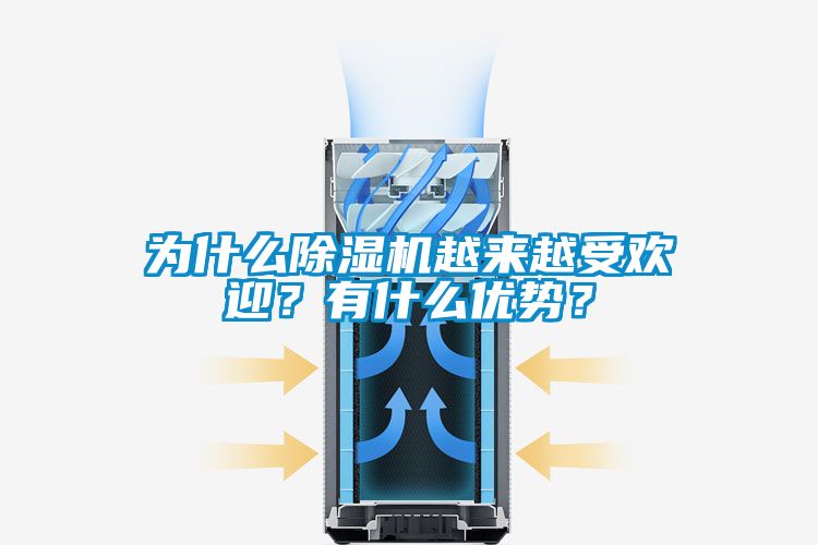 為什么除濕機(jī)越來(lái)越受歡迎？有什么優(yōu)勢(shì)？