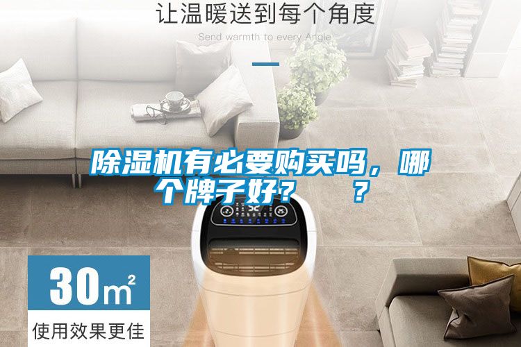除濕機有必要購買嗎，哪個牌子好？  ？