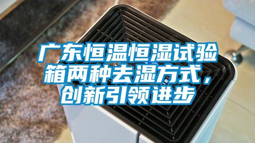 廣東恒溫恒濕試驗箱兩種去濕方式，創(chuàng)新引領(lǐng)進步