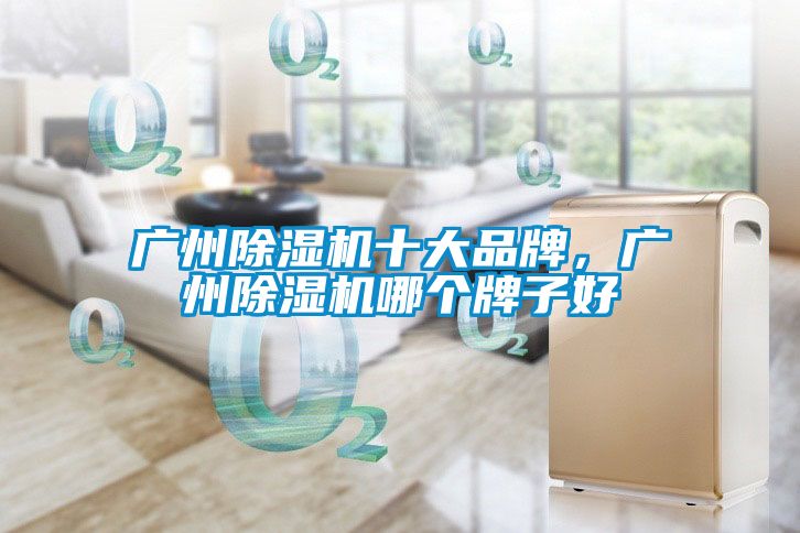 廣州除濕機十大品牌，廣州除濕機哪個牌子好