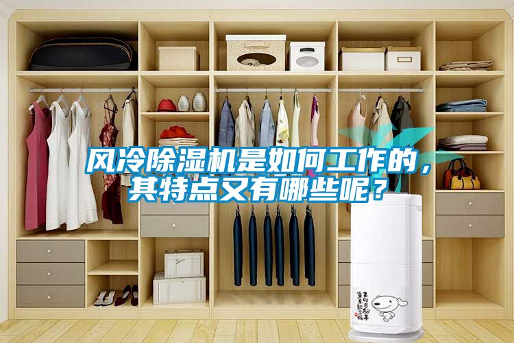 風(fēng)冷除濕機(jī)是如何工作的，其特點(diǎn)又有哪些呢？