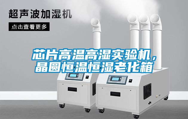 芯片高溫高濕實驗機，晶圓恒溫恒濕老化箱