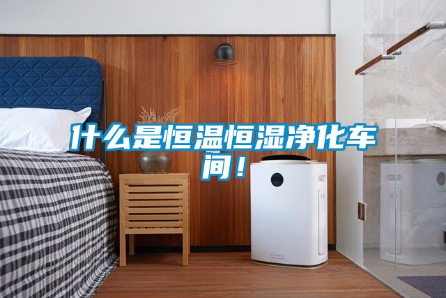 什么是恒溫恒濕凈化車(chē)間！