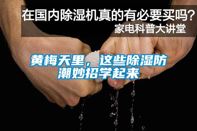 黃梅天里，這些除濕防潮妙招學(xué)起來