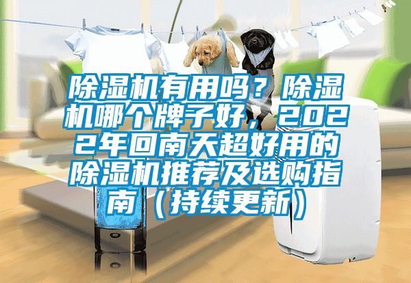 除濕機有用嗎？除濕機哪個牌子好，2022年回南天超好用的除濕機推薦及選購指南（持續(xù)更新）