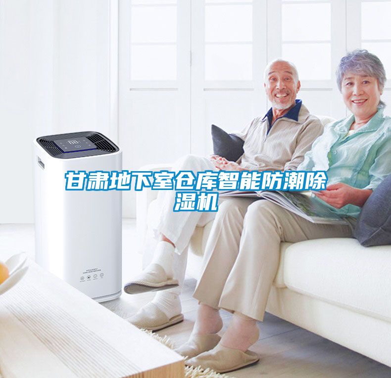甘肅地下室倉(cāng)庫智能防潮除濕機(jī)