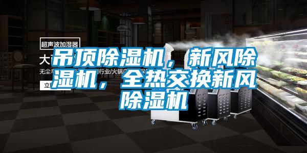 吊頂除濕機(jī)，新風(fēng)除濕機(jī)，全熱交換新風(fēng)除濕機(jī)