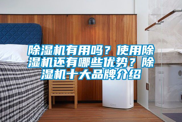 除濕機有用嗎？使用除濕機還有哪些優(yōu)勢？除濕機十大品牌介紹