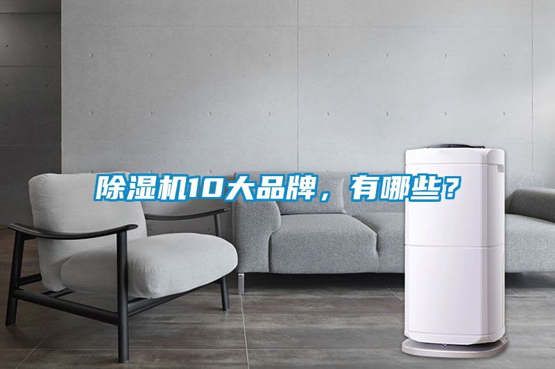 除濕機(jī)10大品牌，有哪些？