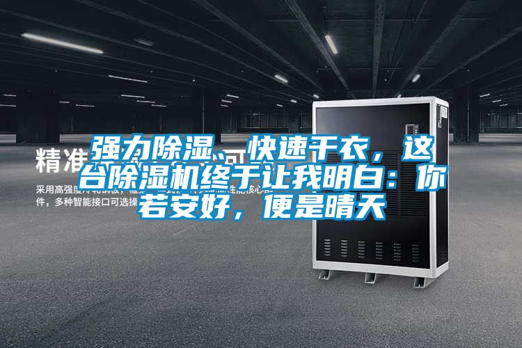 強(qiáng)力除濕、快速干衣，這臺(tái)除濕機(jī)終于讓我明白：你若安好，便是晴天