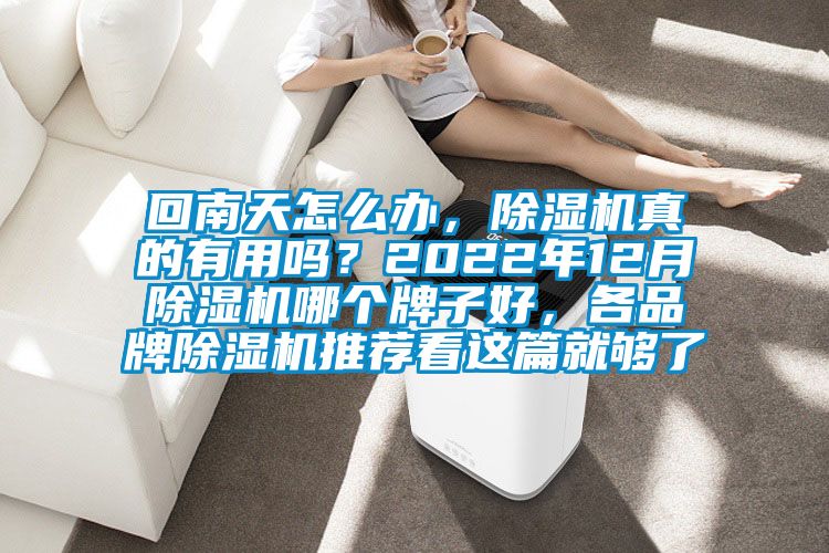 回南天怎么辦，除濕機(jī)真的有用嗎？2022年12月除濕機(jī)哪個(gè)牌子好，各品牌除濕機(jī)推薦看這篇就夠了