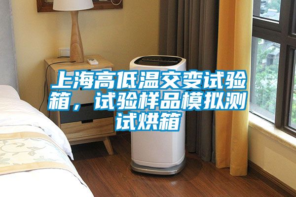 上海高低溫交變?cè)囼?yàn)箱，試驗(yàn)樣品模擬測(cè)試烘箱
