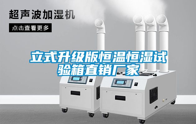 立式升級(jí)版恒溫恒濕試驗(yàn)箱直銷(xiāo)廠家
