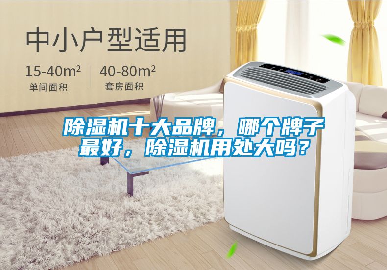 除濕機十大品牌，哪個牌子最好，除濕機用處大嗎？