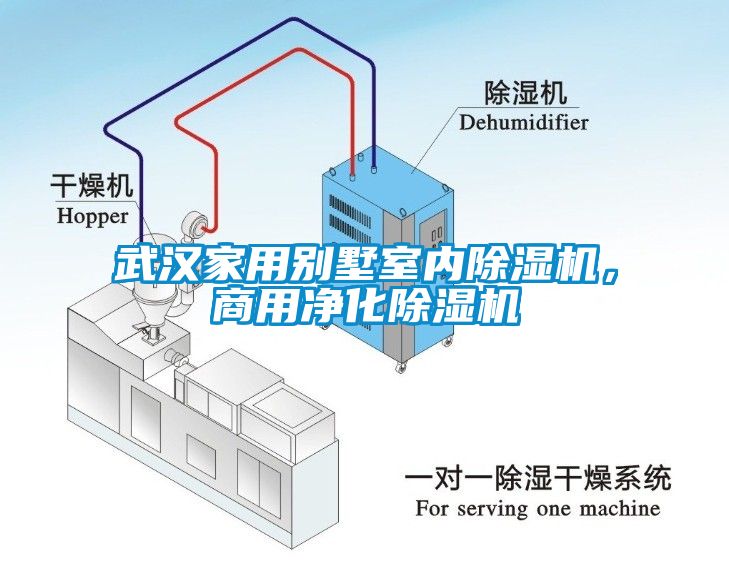 武漢家用別墅室內(nèi)除濕機(jī)，商用凈化除濕機(jī)